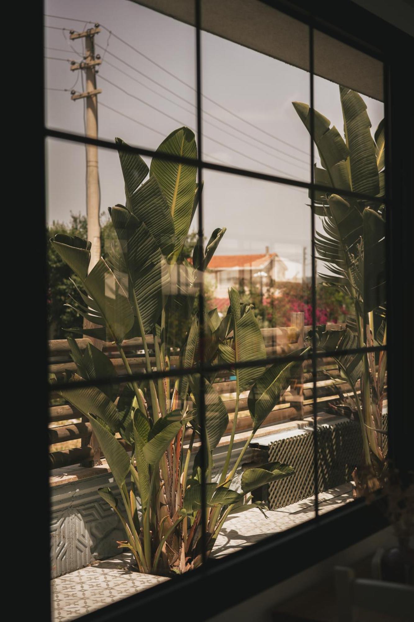 La Vida Otel Urla Exterior foto